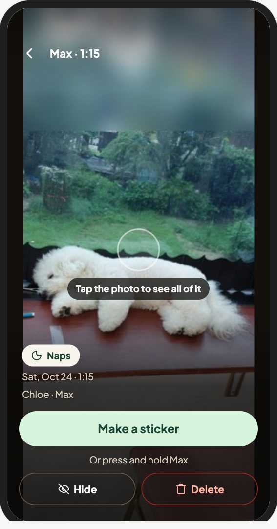 Photo viewer