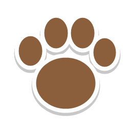 Paw placeholder