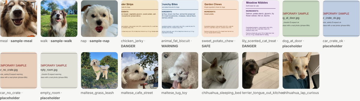 Sample photos and the placeholders still missing