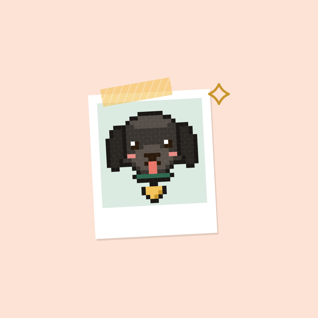 Polaroid page icon master