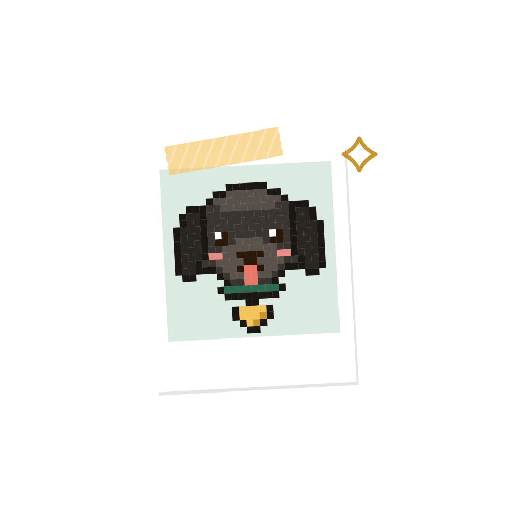 Polaroid page symbol master