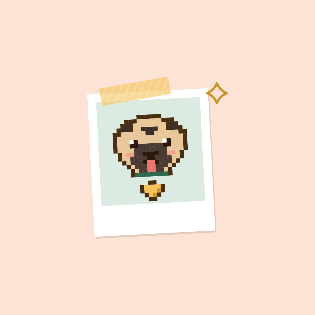 Polaroid page icon master