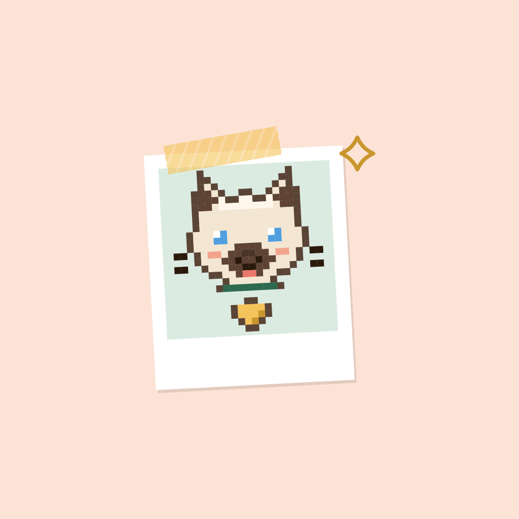 Polaroid page icon master