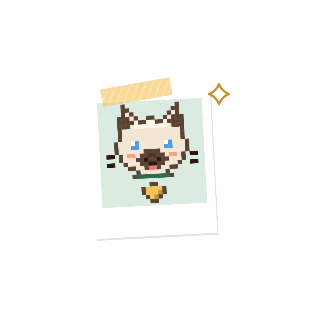Polaroid page symbol master